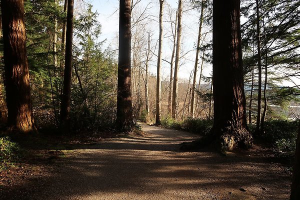 Lake Padden Park Bellingham - 121