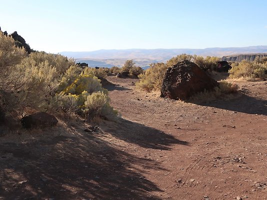 Frenchmans Coulee Feathers WDFW 2025 - 23