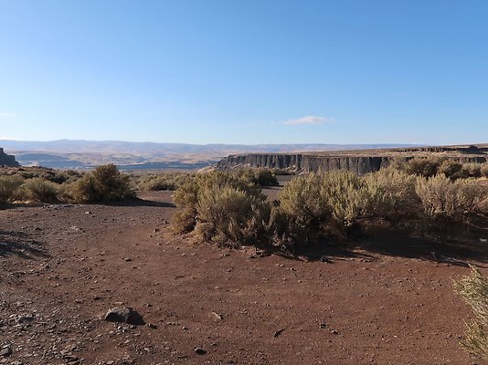Frenchmans Coulee Feathers WDFW 2025 - 5