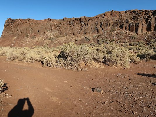 Frenchmans Coulee Feathers WDFW 2025 - 33