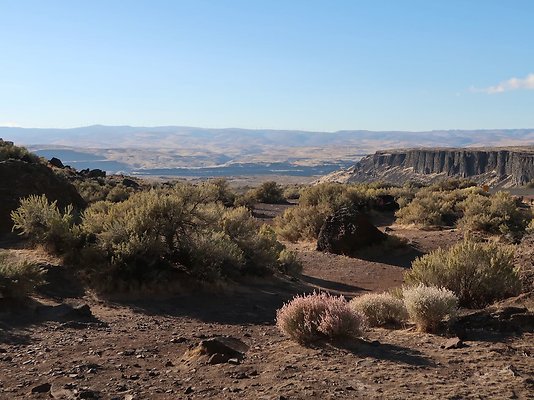 Frenchmans Coulee Feathers WDFW 2025 - 19