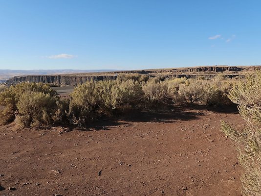 Frenchmans Coulee Feathers WDFW 2025 - 6