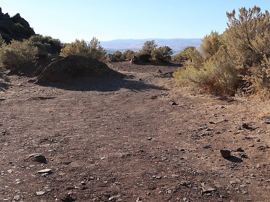 Frenchmans Coulee Feathers WDFW 2025 - 26