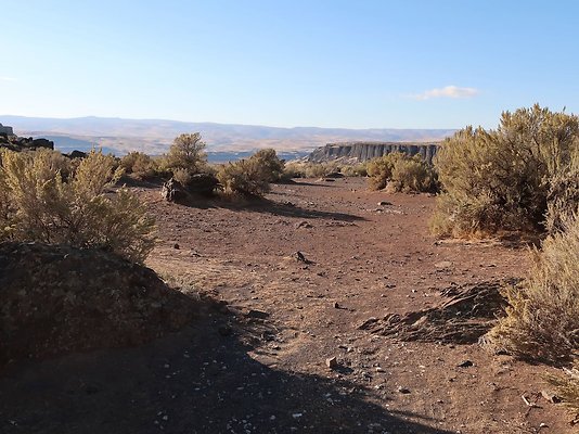 Frenchmans Coulee Feathers WDFW 2025 - 17