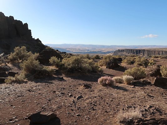 Frenchmans Coulee Feathers WDFW 2025 - 18
