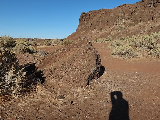 Frenchmans Coulee Feathers WDFW 2025 - 13
