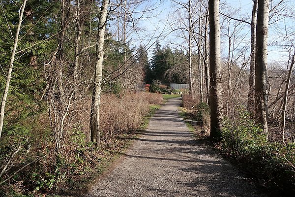 Lake Padden Park Bellingham - 122