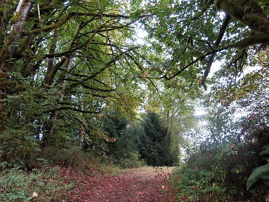 Ovenals doubleO ranch - 201 Ovenals doubleO ranch - 201