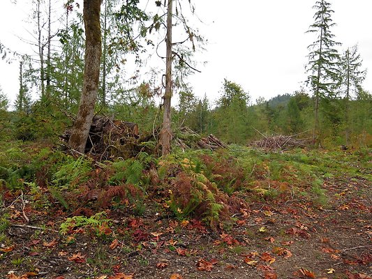 Ovenals doubleO ranch - 43 Ovenals doubleO ranch - 43