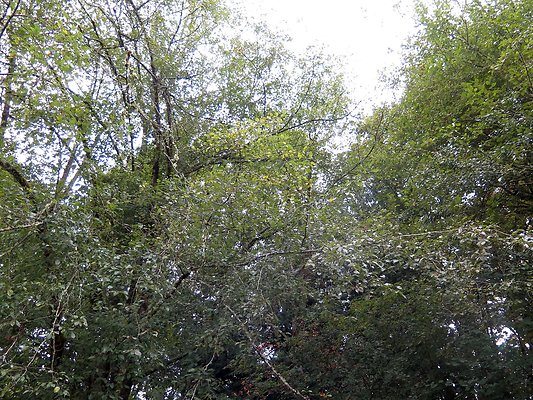 Ovenals doubleO ranch - 146 Ovenals doubleO ranch - 146