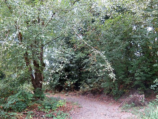 Ovenals doubleO ranch - 145 Ovenals doubleO ranch - 145