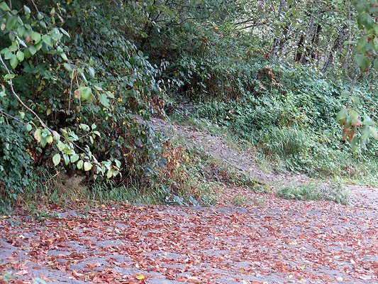 Ovenals doubleO ranch - 179 Ovenals doubleO ranch - 179