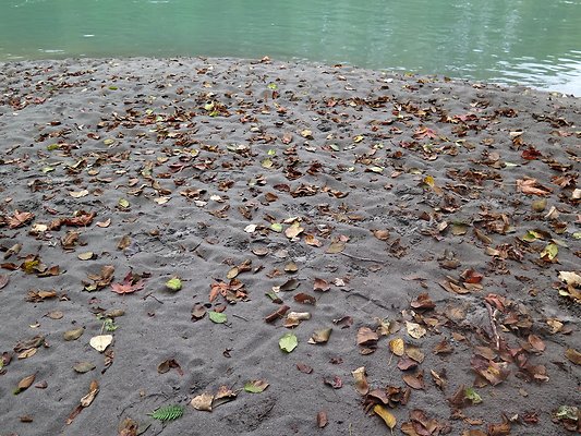 Ovenals doubleO ranch - 176 Ovenals doubleO ranch - 176