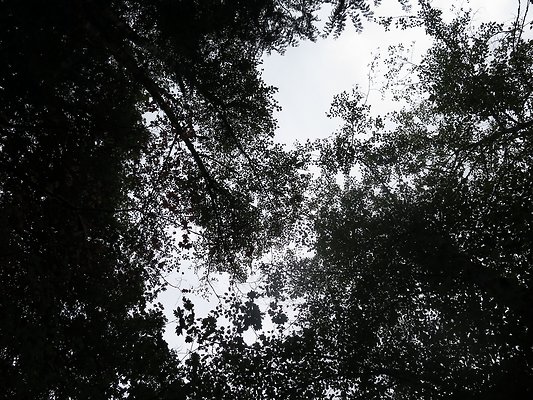 Ovenals doubleO ranch - 131 Ovenals doubleO ranch - 131