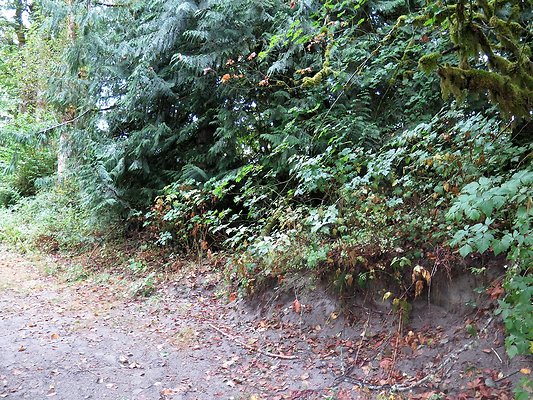 Ovenals doubleO ranch - 136 Ovenals doubleO ranch - 136