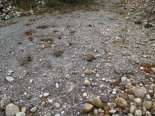 Ovenals doubleO ranch - 68