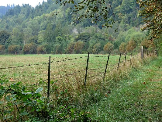 Ovenals doubleO ranch - 208 Ovenals doubleO ranch - 208