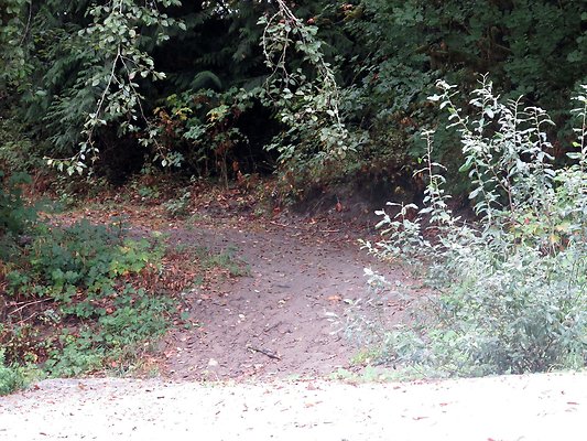 Ovenals doubleO ranch - 157 Ovenals doubleO ranch - 157