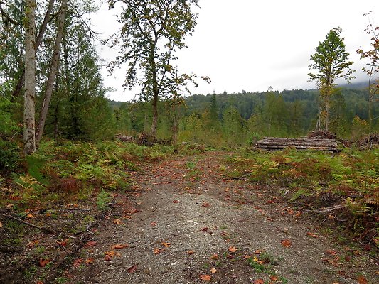 Ovenals doubleO ranch - 41 Ovenals doubleO ranch - 41