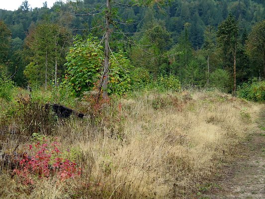 Ovenals doubleO ranch - 91