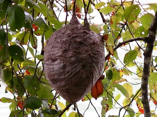 Ovenals doubleO ranch - 200 Ovenals doubleO ranch - 200