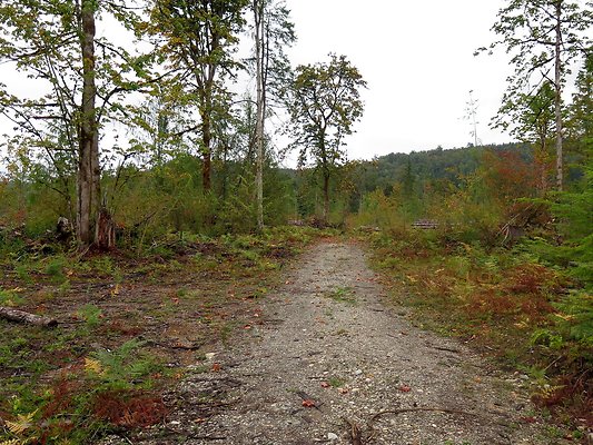 Ovenals doubleO ranch - 40 Ovenals doubleO ranch - 40