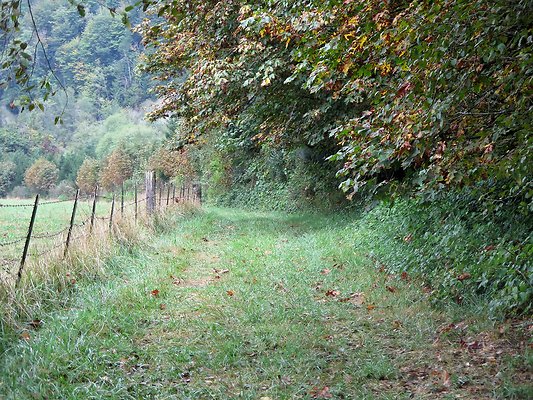 Ovenals doubleO ranch - 209 Ovenals doubleO ranch - 209