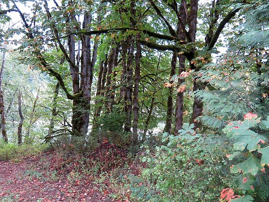 Ovenals doubleO ranch - 118