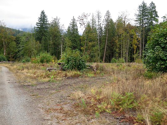 Ovenals doubleO ranch - 88