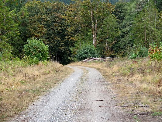 Ovenals doubleO ranch - 90