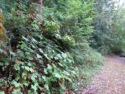 Ovenals doubleO ranch - 124 Ovenals doubleO ranch - 124