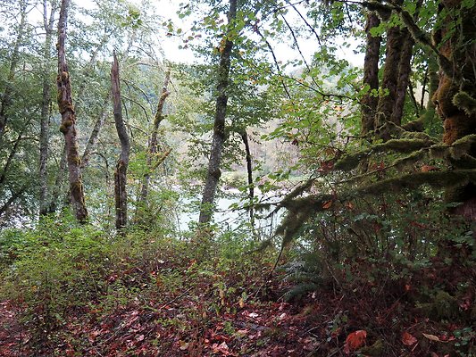 Ovenals doubleO ranch - 123 Ovenals doubleO ranch - 123