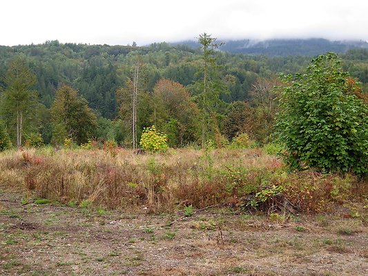 Ovenals doubleO ranch - 86