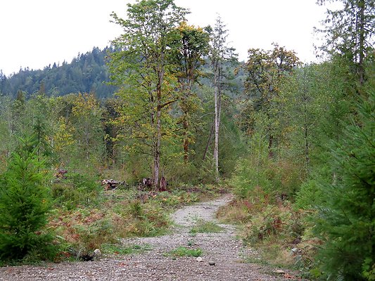 Ovenals doubleO ranch - 31 Ovenals doubleO ranch - 31