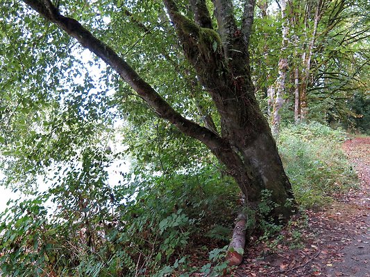 Ovenals doubleO ranch - 134 Ovenals doubleO ranch - 134