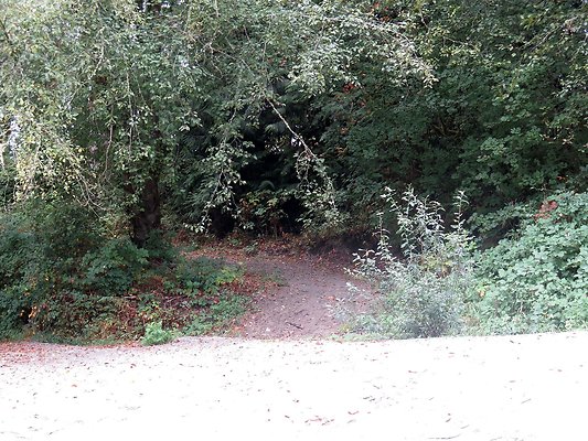 Ovenals doubleO ranch - 156 Ovenals doubleO ranch - 156