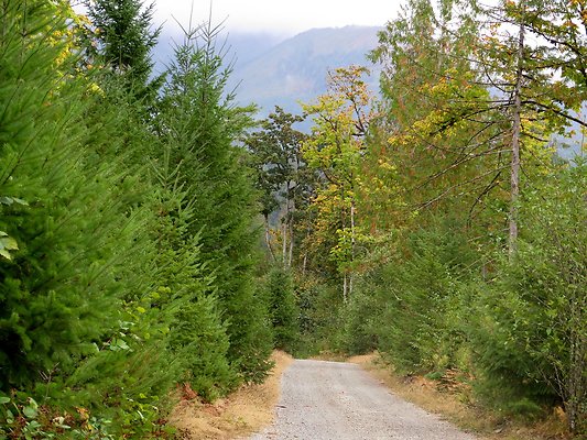 Ovenals doubleO ranch - 28 Ovenals doubleO ranch - 28