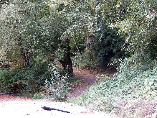 Ovenals doubleO ranch - 162 Ovenals doubleO ranch - 162