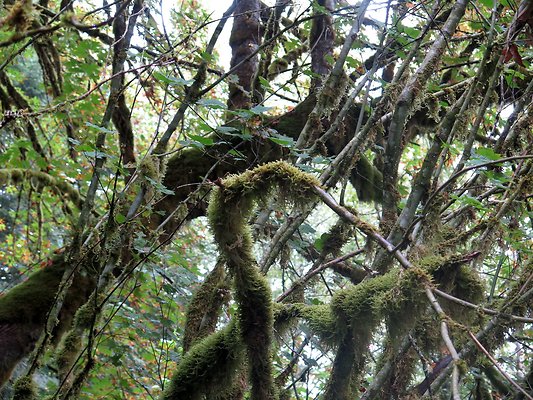 Ovenals doubleO ranch - 132 Ovenals doubleO ranch - 132