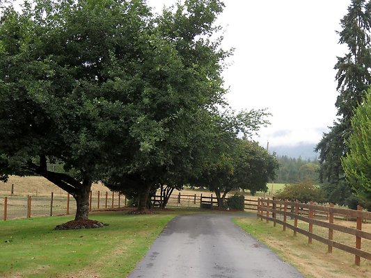 Ovenals doubleO ranch - 8 Ovenals doubleO ranch - 8