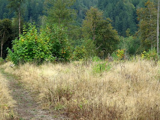 Ovenals doubleO ranch - 93