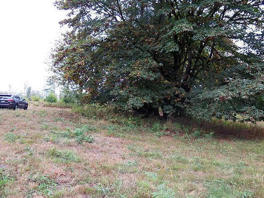 Ovenals doubleO ranch - 101