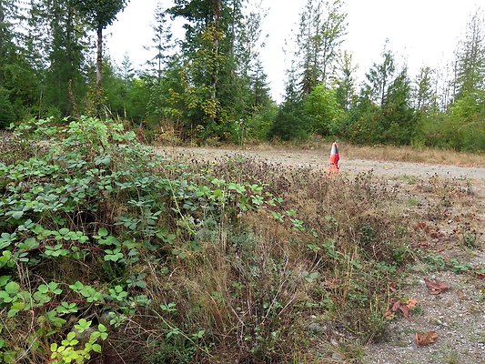 Ovenals doubleO ranch - 73