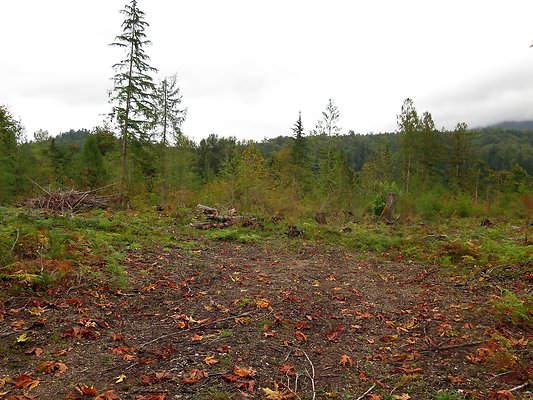 Ovenals doubleO ranch - 44 Ovenals doubleO ranch - 44