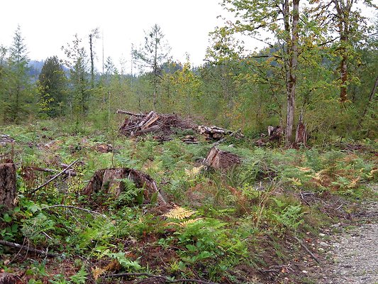 Ovenals doubleO ranch - 37 Ovenals doubleO ranch - 37