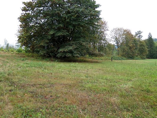 Ovenals doubleO ranch - 106