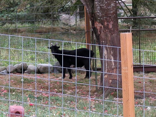 Ovenals doubleO ranch - 228 Ovenals doubleO ranch - 228