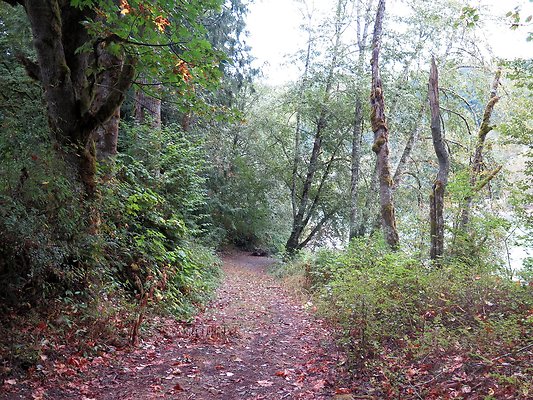 Ovenals doubleO ranch - 122 Ovenals doubleO ranch - 122