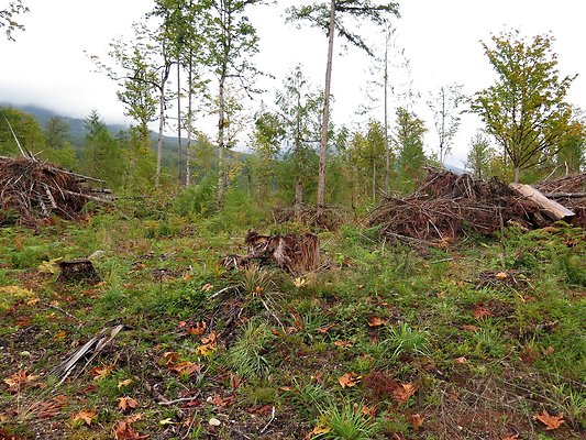 Ovenals doubleO ranch - 46 Ovenals doubleO ranch - 46