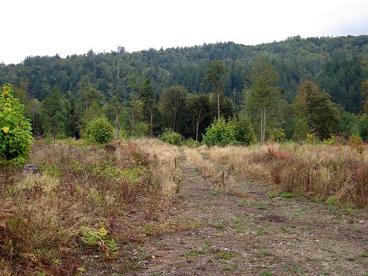 Ovenals doubleO ranch - 85